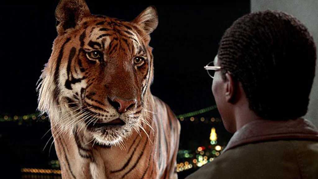 A screenshot of Dr. Dolittle, played by Eddie Murphy, talking a wild tiger down from a ledge.